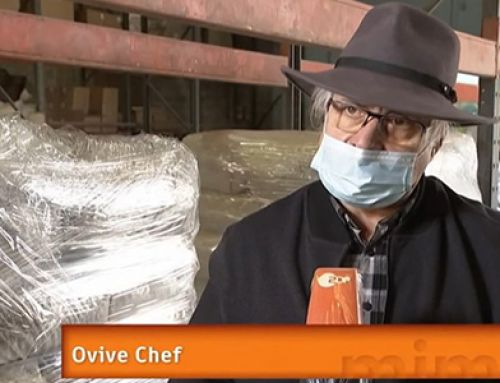 [ZDF] Recyclage des huîtres en France